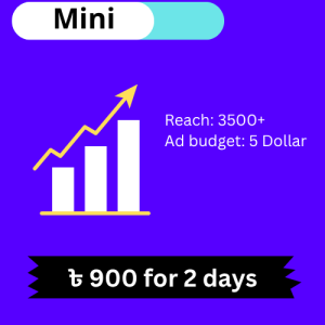 Facebook Boost – Mini