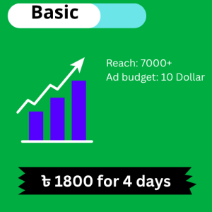 Facebook Boost – Basic Package